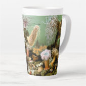 Zee Anemonen,  Marine Life Ocean Animals Latte Mok (Rechterhoek)