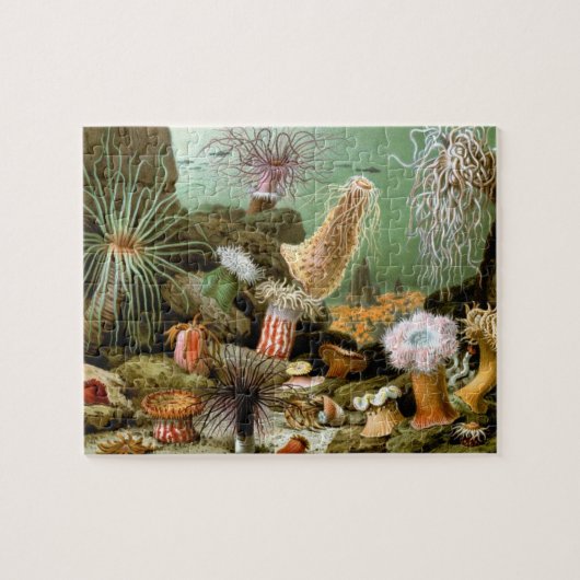 Zee Anemonen,  Marine Life Ocean Animals Legpuzzel (Horizontaal)