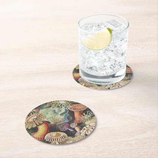 Zee Anemones, Actiniae Seeanemonen Ernst Haeckel Ronde Kartonnen Onderzetter (Insitu)