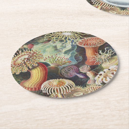 Zee Anemones, Actiniae Seeanemonen Ernst Haeckel Ronde Kartonnen Onderzetter (Gebogen)