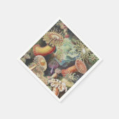 Zee Anemones, Actiniae Seeanemonen Ernst Haeckel Servet (Hoek)