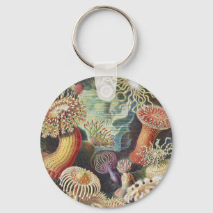 Zee Anemones, Actiniae Seeanemonen Ernst Haeckel Sleutelhanger