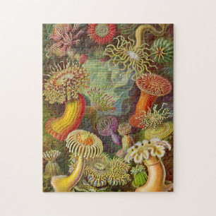 Zee Anemones Illustratie Legpuzzel