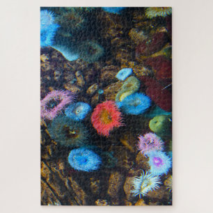Zee Anemones. Legpuzzel