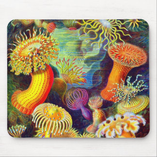 Zee Anemones van Ernst Haeckel Muismat