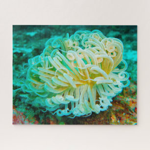 Zee Anemonies Jigzaag Puzzle Legpuzzel