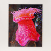 Zee Anemonies Legpuzzel (Verticaal)