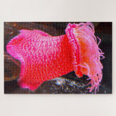 Zee Anemonies Legpuzzel (Horizontaal)