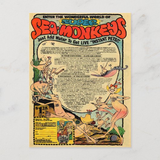  Zee apen Reclame Briefkaart (Voorkant)