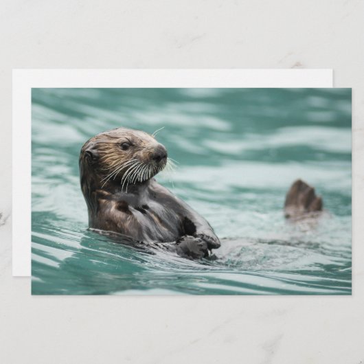 Zee bekijken otter briefpapier (Voorkant / Achterkant)