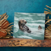 Zee bekijken otter fotoplaat (Zijkant)