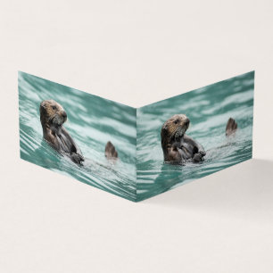 Zee bekijken otter kaart