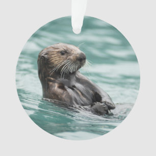 Zee bekijken otter ornament