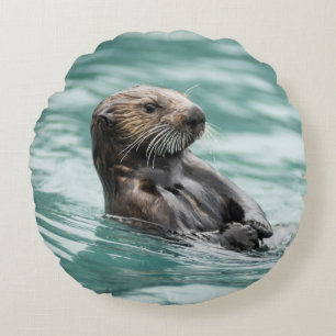 Zee bekijken otter rond kussen