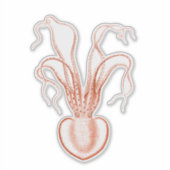  Zee Biowetenschappen Octopus Sticker (Voorkant)