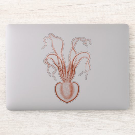  Zee Biowetenschappen Octopus Sticker (Computer)