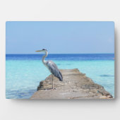 Zee Bird Art Decor Plaque Fotoplaat (voorkant)