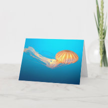 Zee brandnetel drijvend in blauw water Bedankkaart