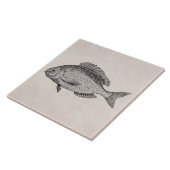  Zee Bream Fish Retro Fishing Sjabloon Tegeltje (Zijkant)
