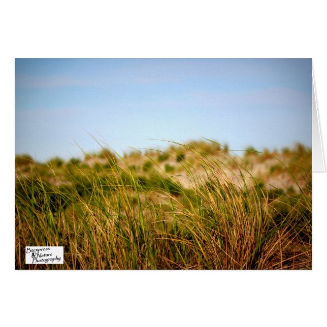 Zee Breeze (5.0) (Voorkant Horizontaal)