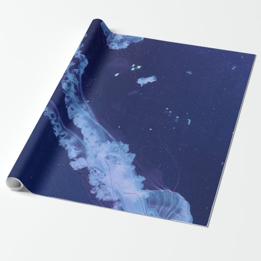 Zee Cadeaupapier (Uitgerold)