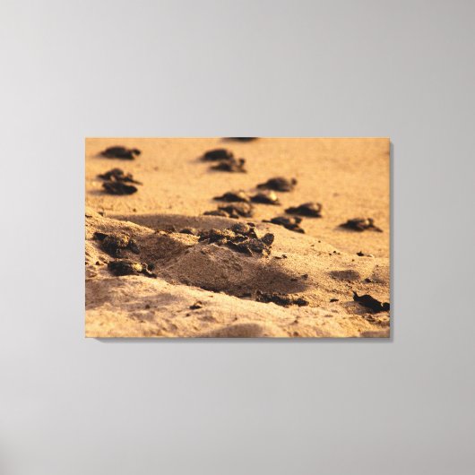Zee Canvas Afdruk (Voorkant)
