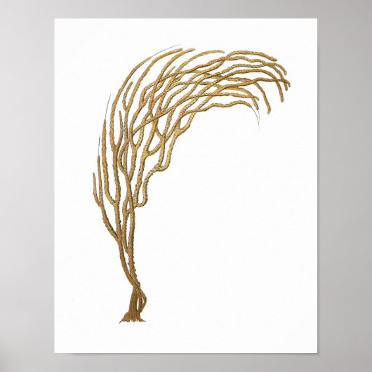 Zee Coral No.3 Antiek Natuurgeschiedenis Afdrukken Poster (Voorkant)