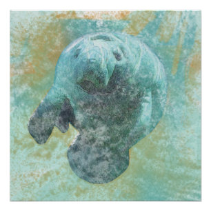 Zee Cow Art Poster beheren Perfect Poster