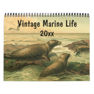  Zee Creaters and Ocean Marine Life Animal Kalender