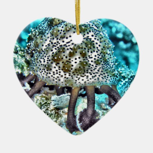 Zee Cucumber.jpg Keramisch Ornament (Voorkant)