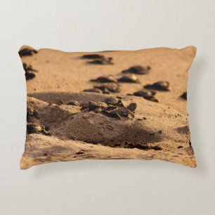 Zee Decoratief Kussen