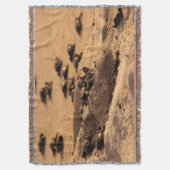 Zee Deken (Voorkant Verticaal)