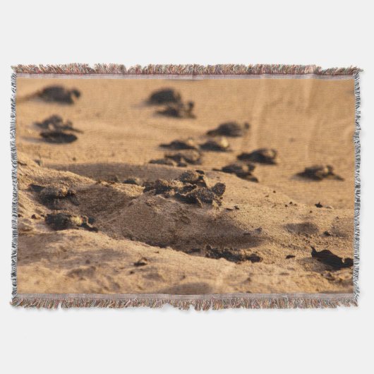 Zee Deken (Voorkant)