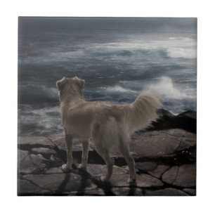Zee Dog Tegeltje