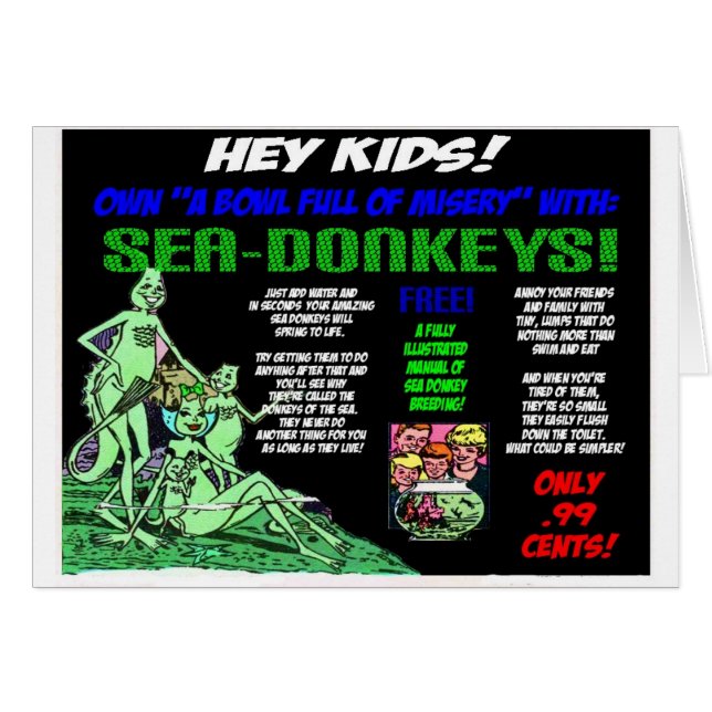 Zee Donkeys (Voorkant Horizontaal)