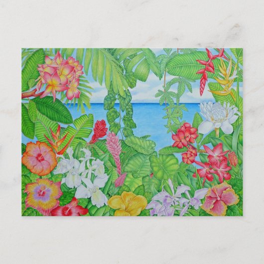 Zee door het Oerwoud Briefkaart (Voorkant)