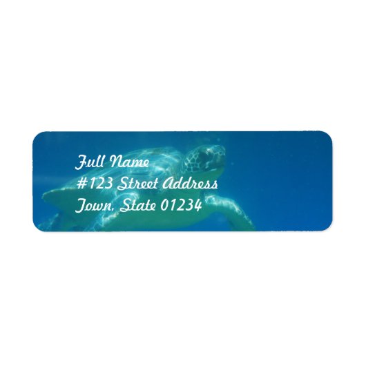 Zee - draaimolen etiket (Voorkant)