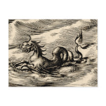 Zee Dragon bij de evenaar