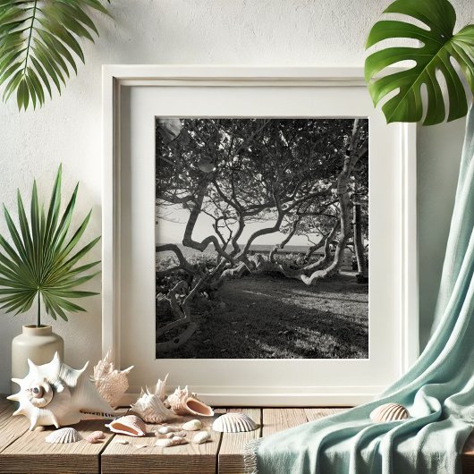 Zee Druiven Zwart en Wit Strand Afbeeldingen Poster