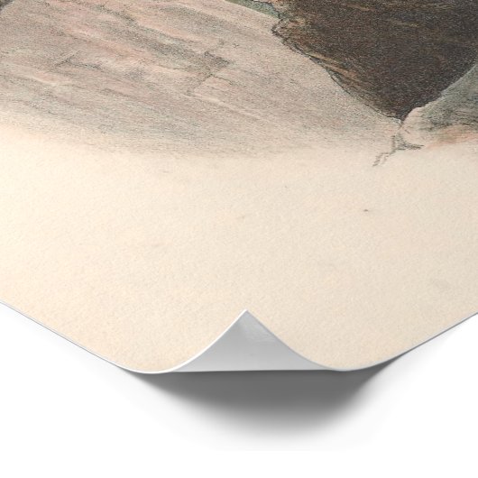  Zee Eagle Bird Poster (Hoek)