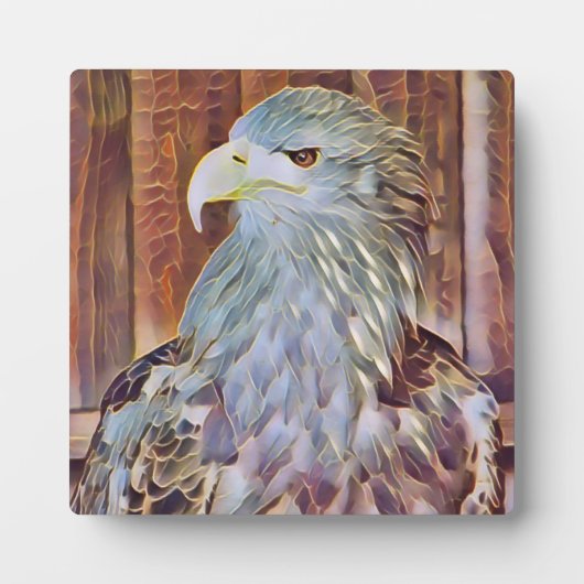 ZEE EAGLE FOTOPLAAT (Voorkant)