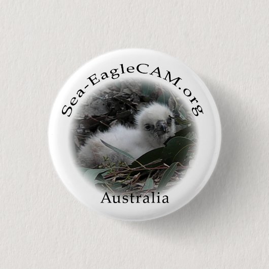 Zee-Eagle Hatchling Button (Voorkant)