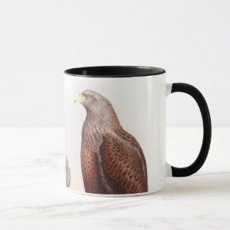 Zee Eagle John Gould Birds of Great Britain Natuur Mok