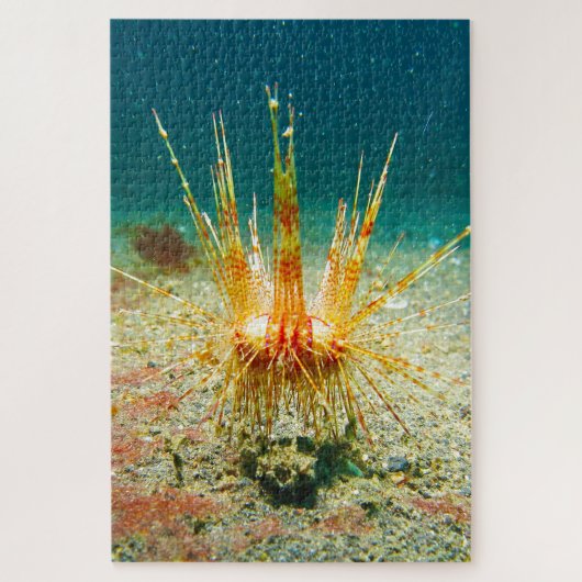 Zee-egels Legpuzzel (Verticaal)