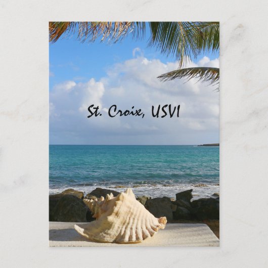 Zee en Zee Shell Briefkaart (Voorkant)