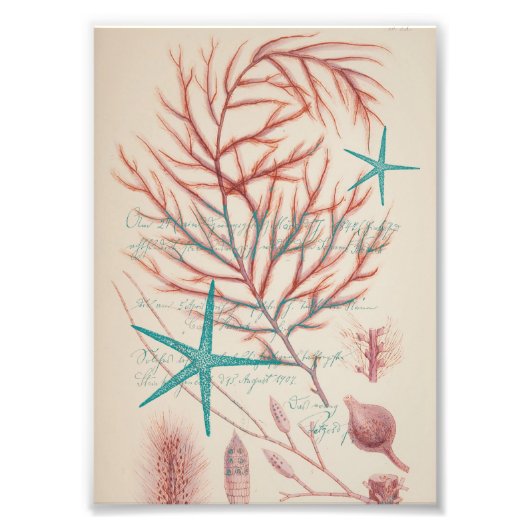 Zee Foto Afdruk (Voorkant)