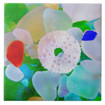 Zee glas en Zee Urchin Shell