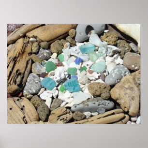 Zee Glas posters Strand Zee Schelpen Fossielen Str