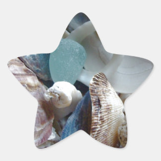Zee Glass Shell verzameld Ster Sticker