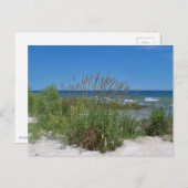 Zee gras langs de kust briefkaart (Voorkant / Achterkant)